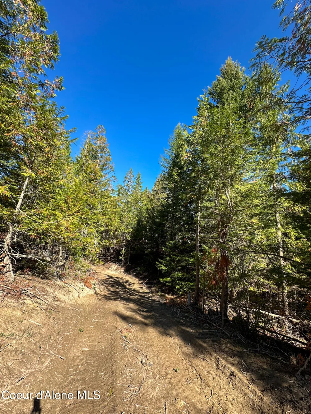 NNA Turner Hill Rd Lot 2 (4050A) Bonners Ferry, ID 83805