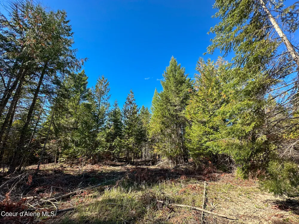 NNA Turner Hill Rd Lot 2 (4050A) Bonners Ferry, ID 83805
