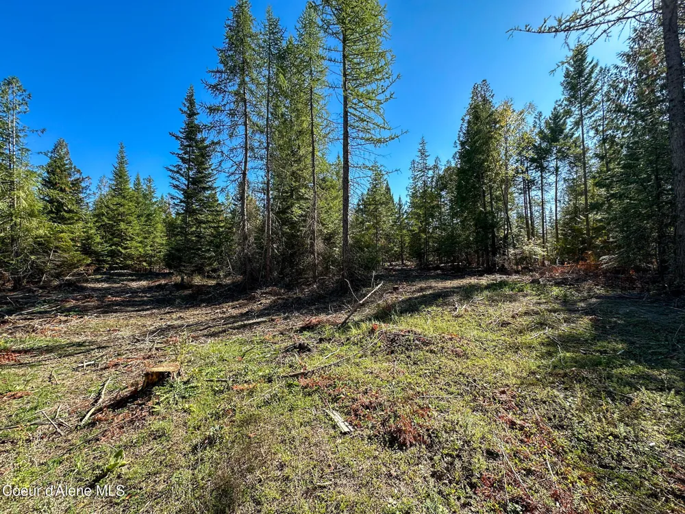 NNA Turner Hill Rd Lot 2 (4050A) Bonners Ferry, ID 83805