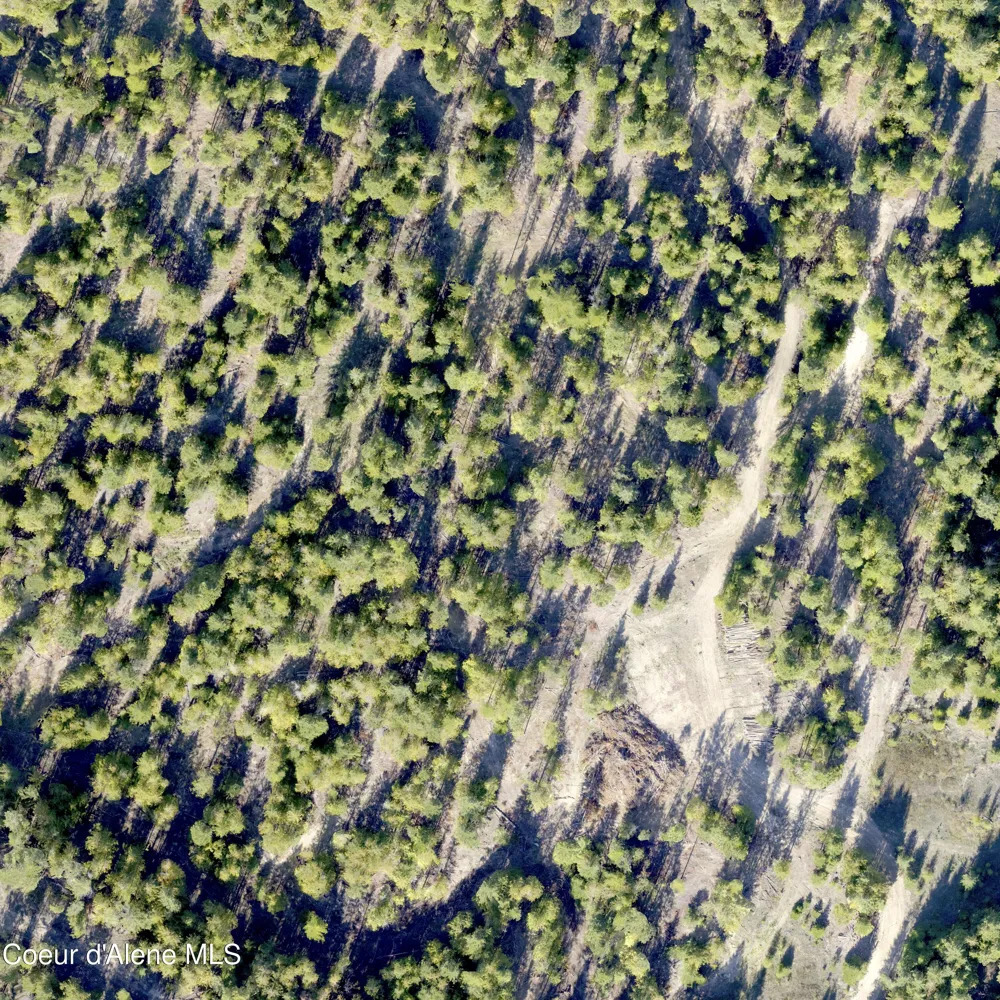 NNA Turner Hill Rd Lot 2 (4050A) Bonners Ferry, ID 83805