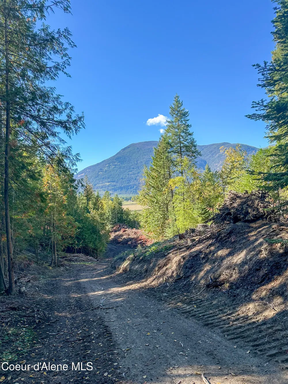 NNA Turner Hill Rd Lot 2 (4050A) Bonners Ferry, ID 83805