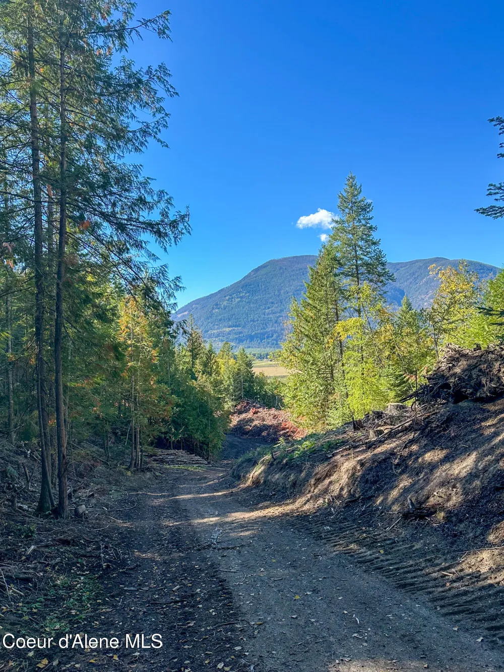 NNA Turner Hill Rd Lot 2 (4050A) Bonners Ferry, ID 83805