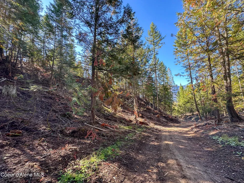 NNA Turner Hill Rd Lot 2 (4050A) Bonners Ferry, ID 83805