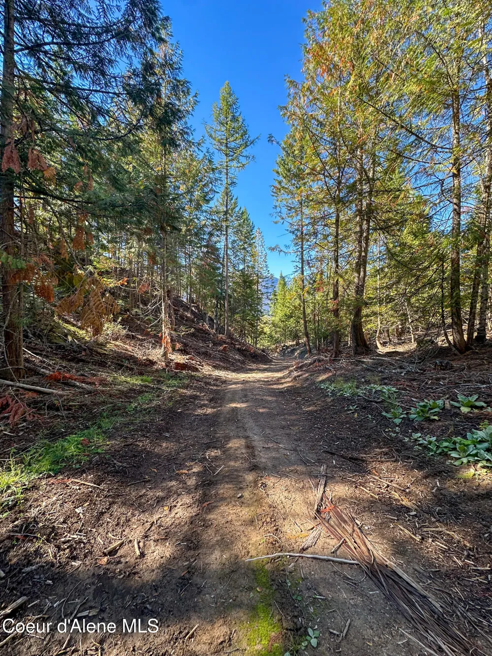 NNA Turner Hill Rd Lot 2 (4050A) Bonners Ferry, ID 83805