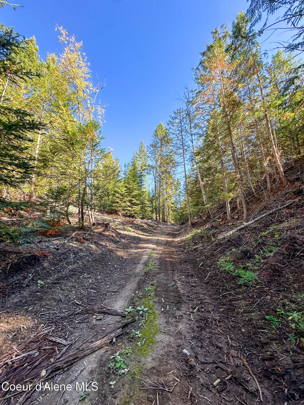 NNA Turner Hill Rd Lot 2 (4050A) Bonners Ferry, ID 83805