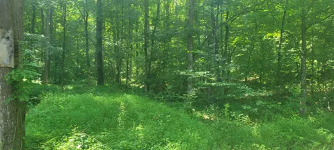 1 Terrapin Run Rd