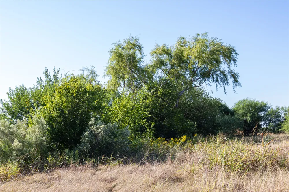 6868 Pfeil Road Schertz, TX 78154