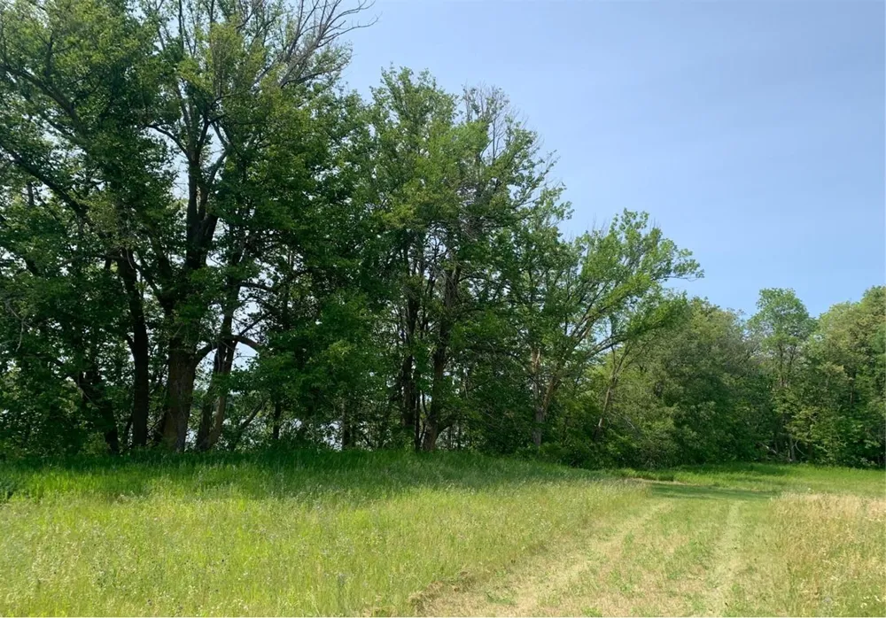 Lt 1 Wood Lake Drive SE Erskine, MN 56535