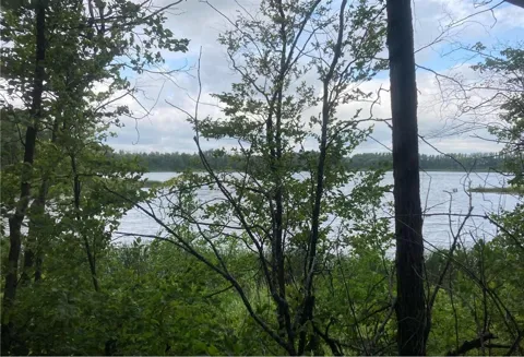 Lt 1 Wood Lake Drive SE