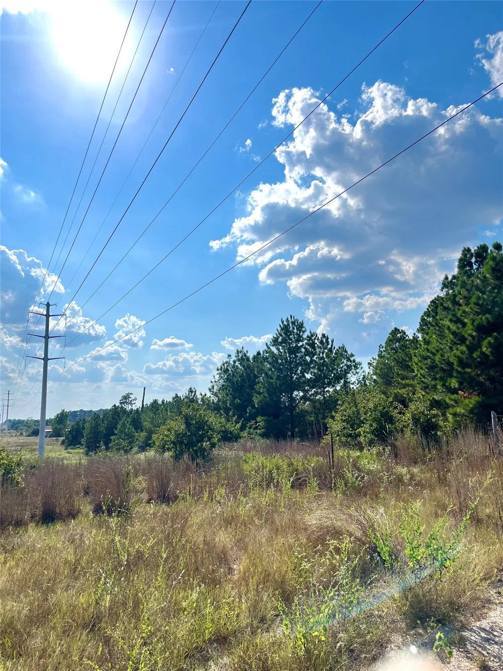 Ponderosa Loop Paige, TX 78659