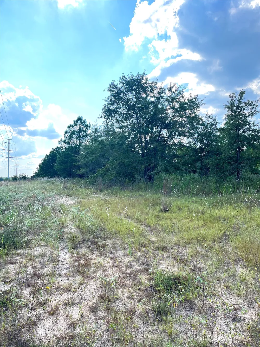 Ponderosa Loop Paige, TX 78659