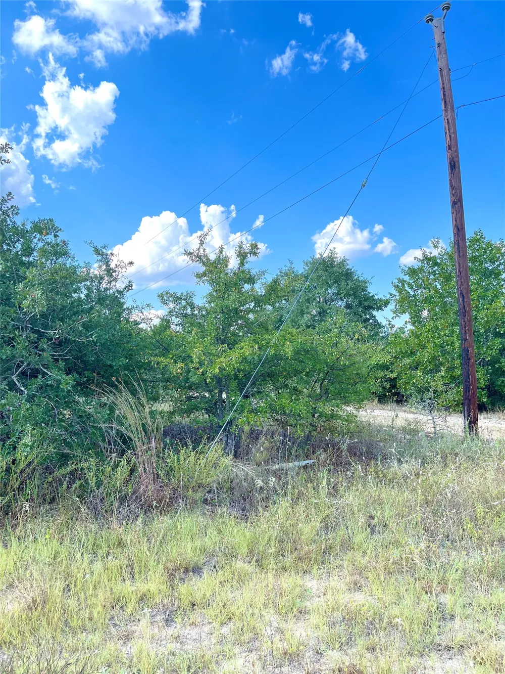 Ponderosa Loop Paige, TX 78659