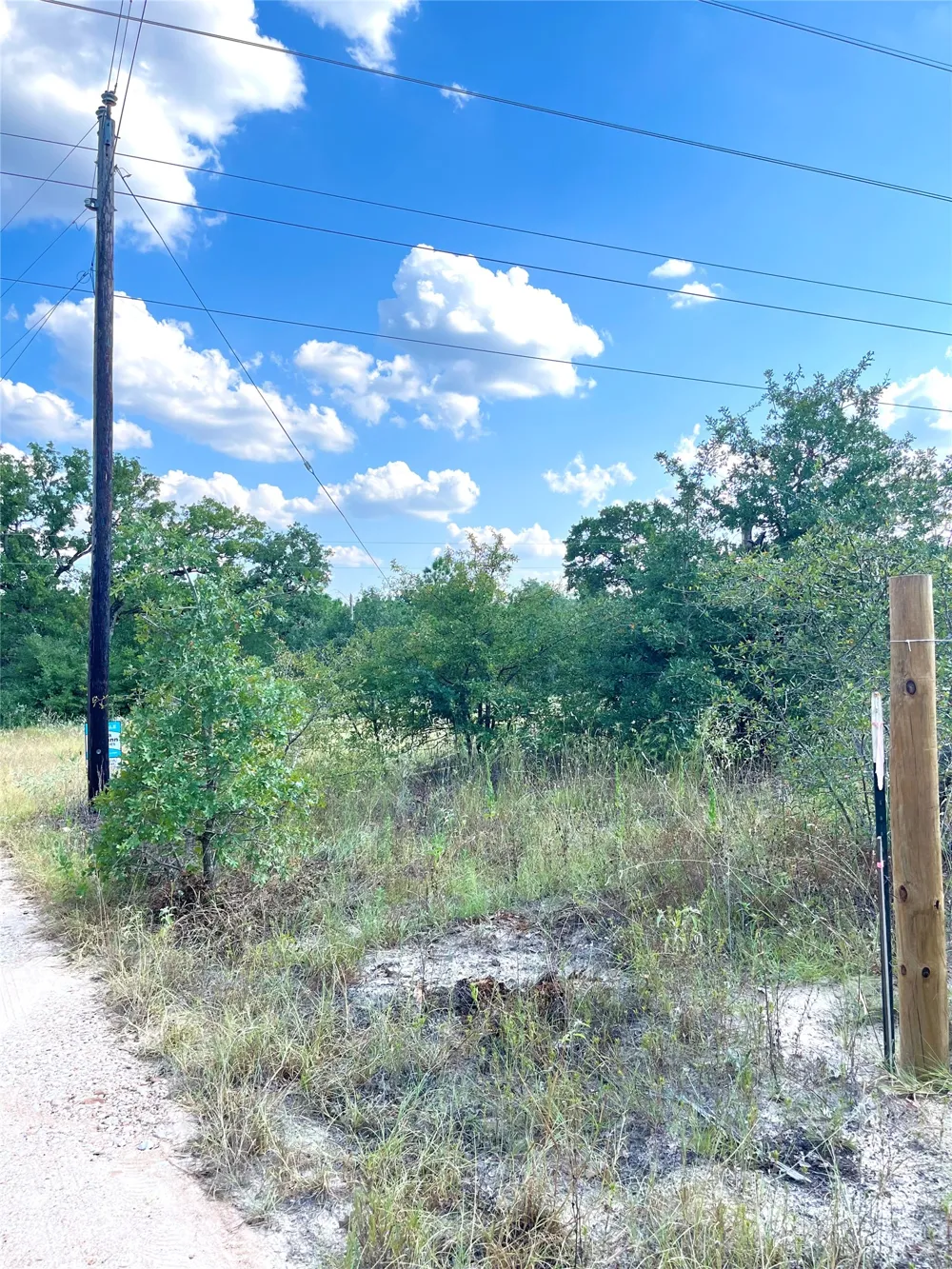 Ponderosa Loop Paige, TX 78659
