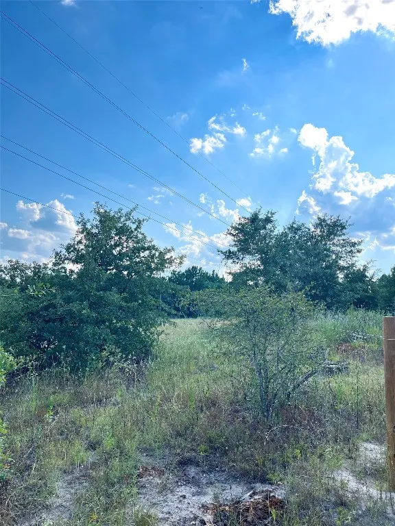 Ponderosa Loop Paige, TX 78659