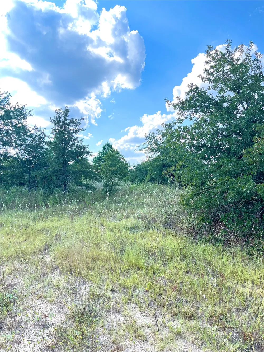 Ponderosa Loop Paige, TX 78659