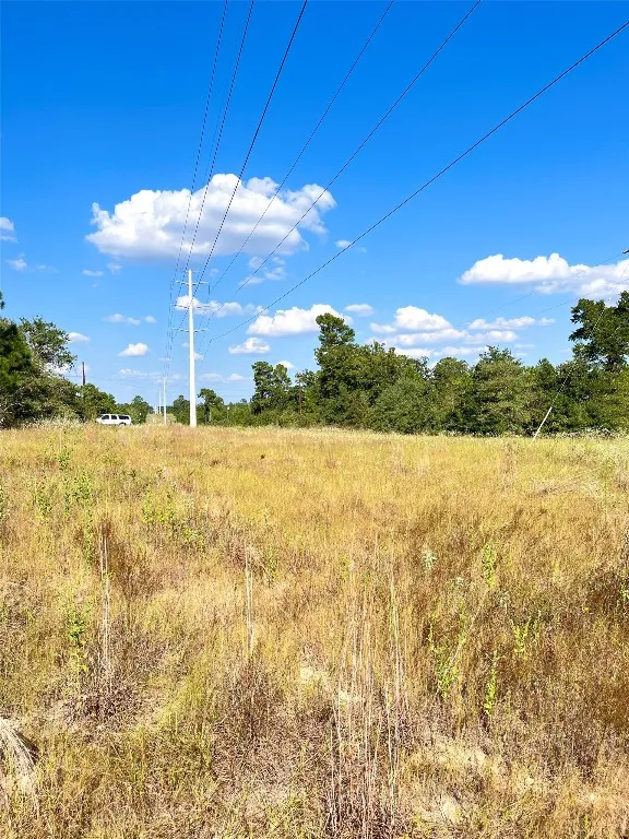 Ponderosa Loop Paige, TX 78659