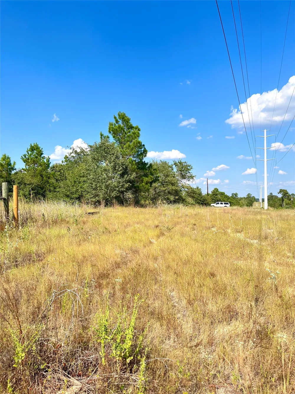 Ponderosa Loop Paige, TX 78659