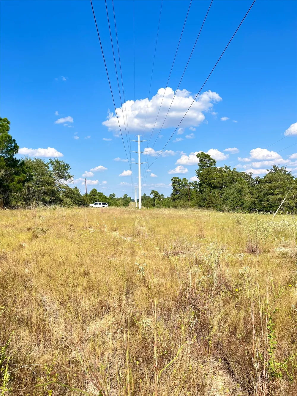 Ponderosa Loop Paige, TX 78659