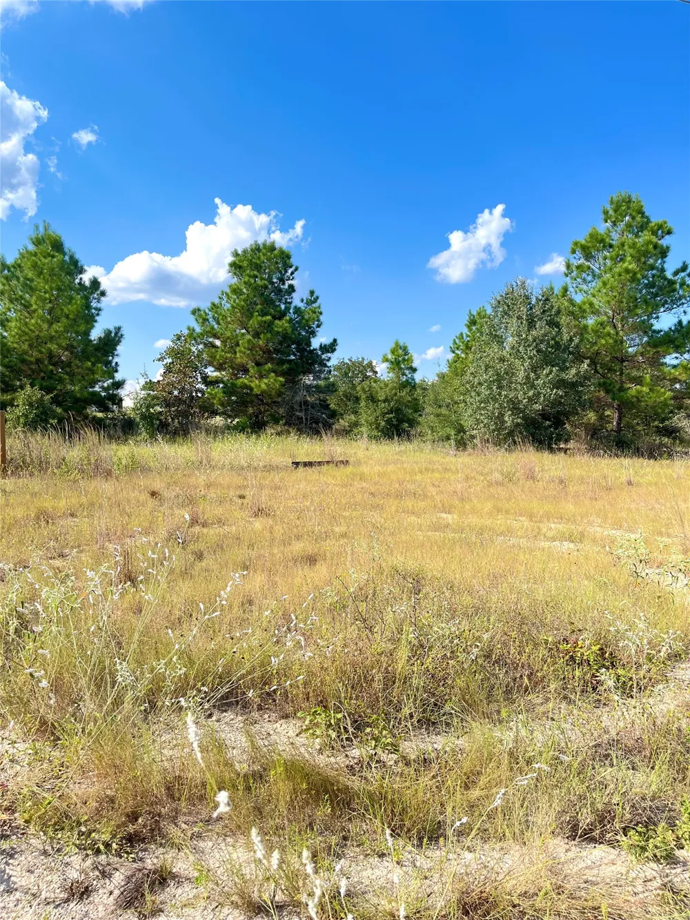 Ponderosa Loop Paige, TX 78659