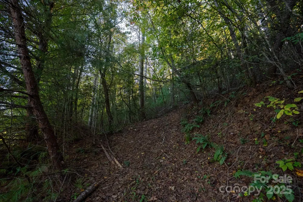 00 Shell Creek Road Ferguson, NC 28624