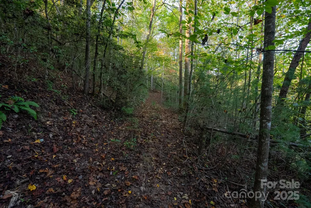 00 Shell Creek Road Ferguson, NC 28624