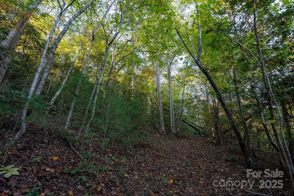 00 Shell Creek Road Ferguson, NC 28624