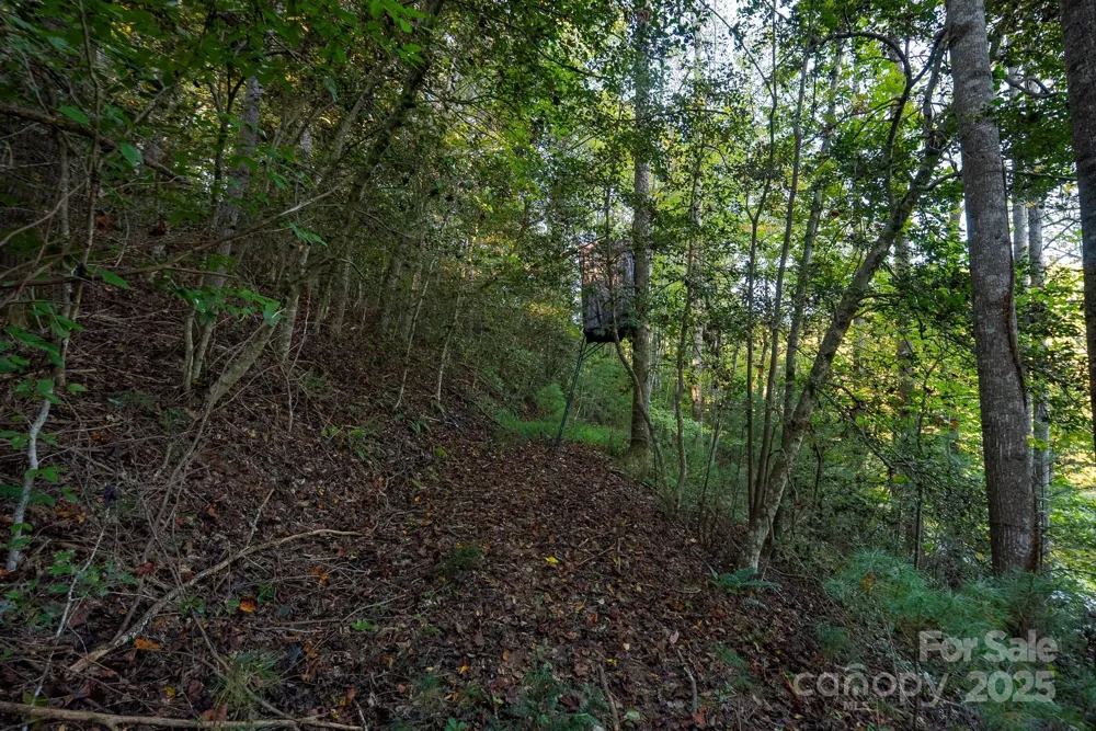 00 Shell Creek Road Ferguson, NC 28624