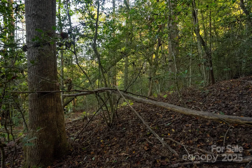 00 Shell Creek Road Ferguson, NC 28624