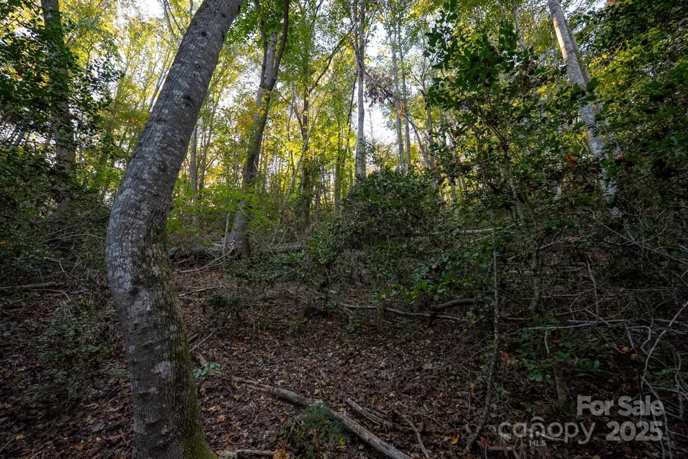 00 Shell Creek Road Ferguson, NC 28624