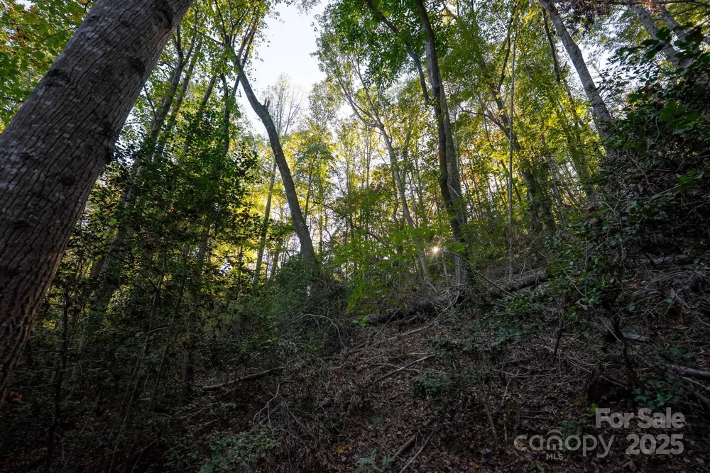 00 Shell Creek Road Ferguson, NC 28624