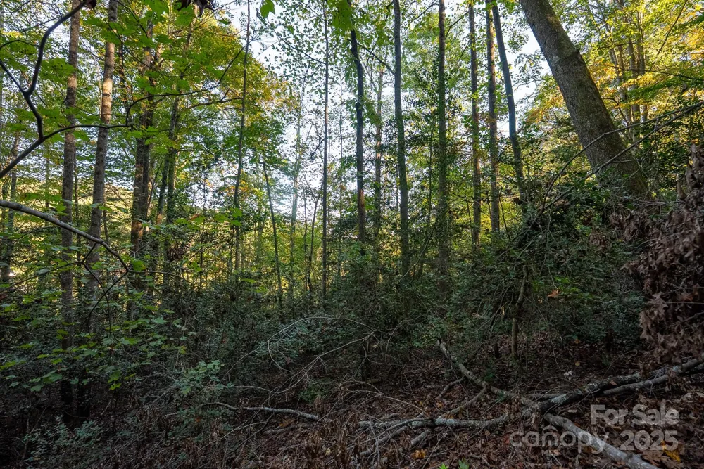 00 Shell Creek Road Ferguson, NC 28624