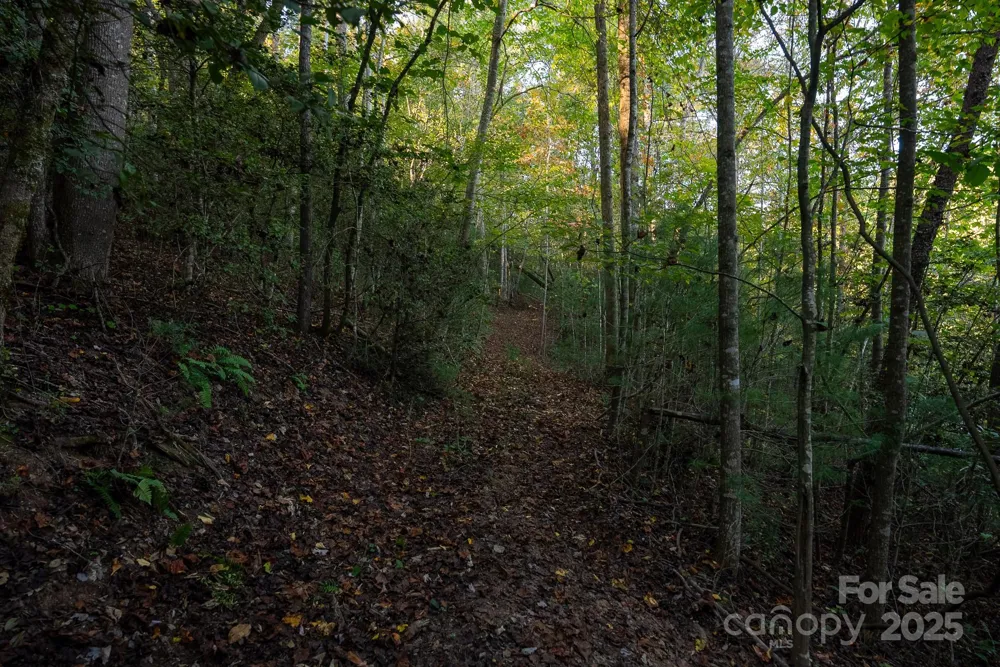 00 Shell Creek Road Ferguson, NC 28624
