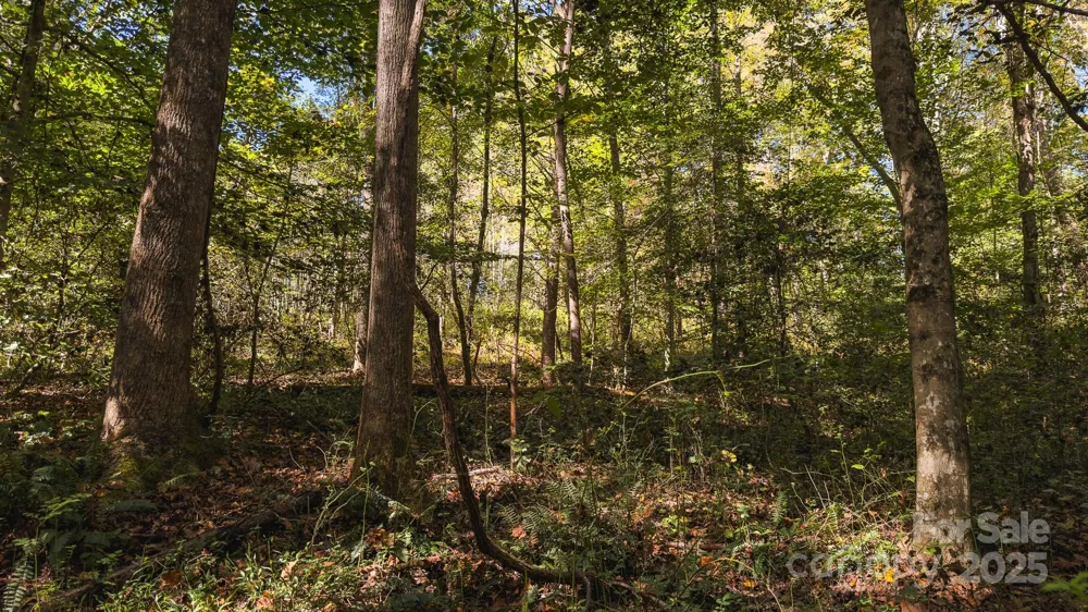 00 Shell Creek Road Ferguson, NC 28624