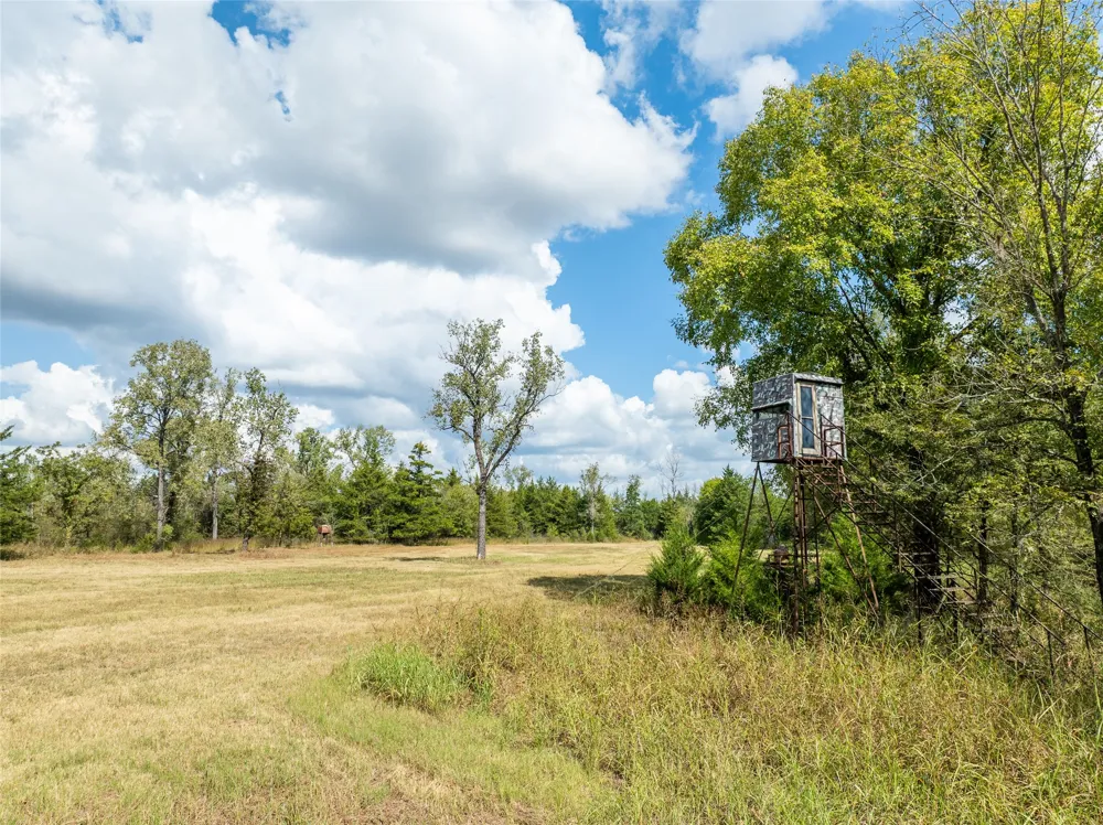 FM 410 Bagwell, TX 75412