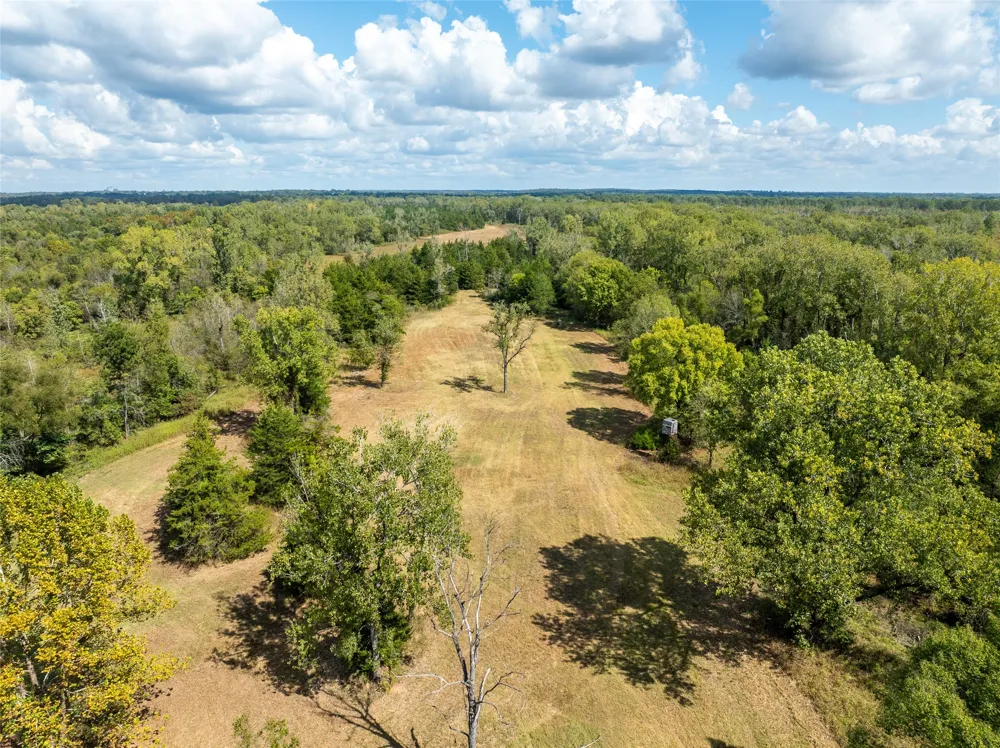 FM 410 Bagwell, TX 75412
