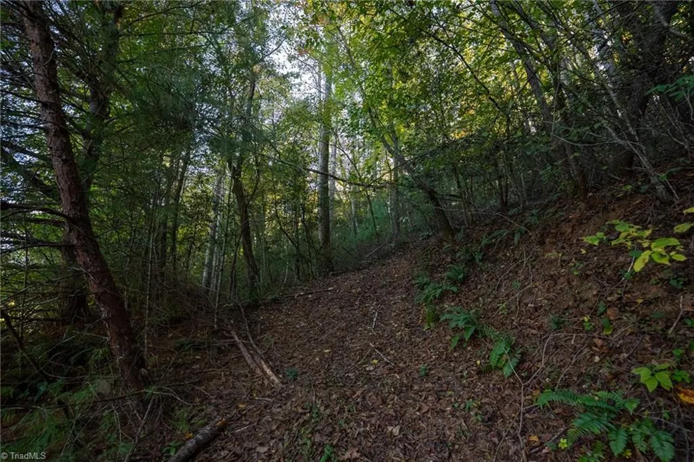 00 Shell Creek Road Ferguson, NC 28624