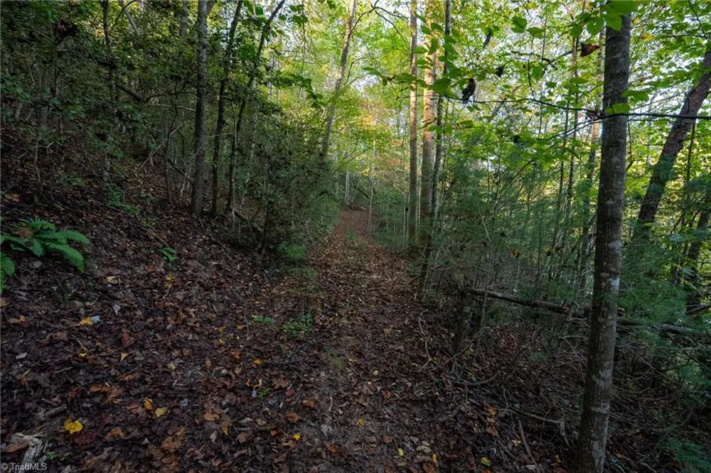 00 Shell Creek Road Ferguson, NC 28624