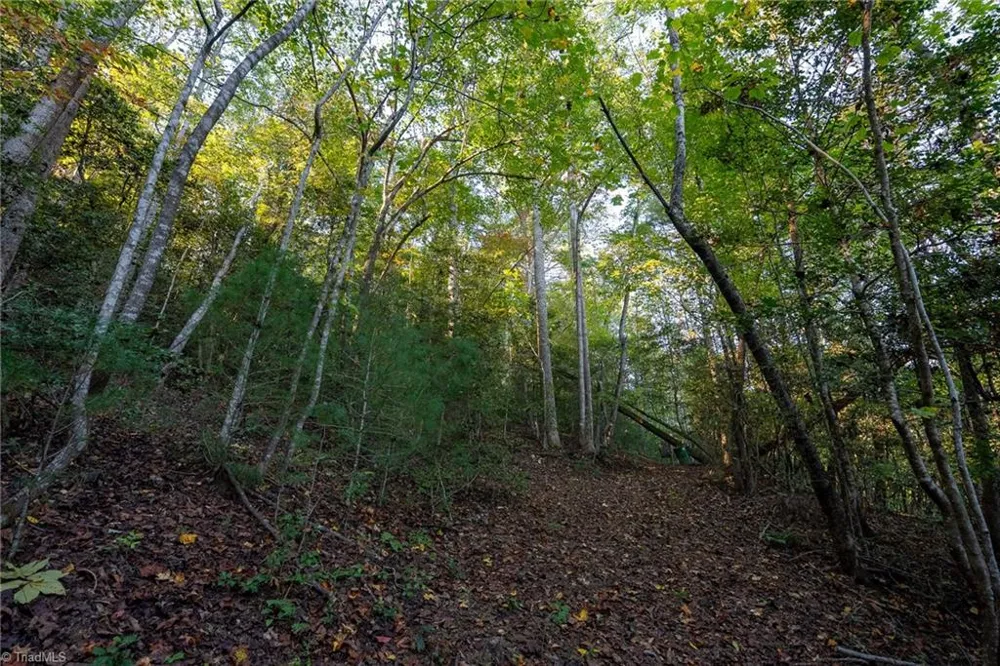 00 Shell Creek Road Ferguson, NC 28624