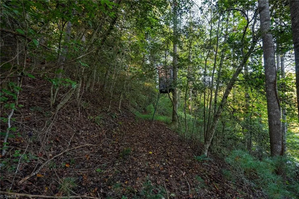 00 Shell Creek Road Ferguson, NC 28624