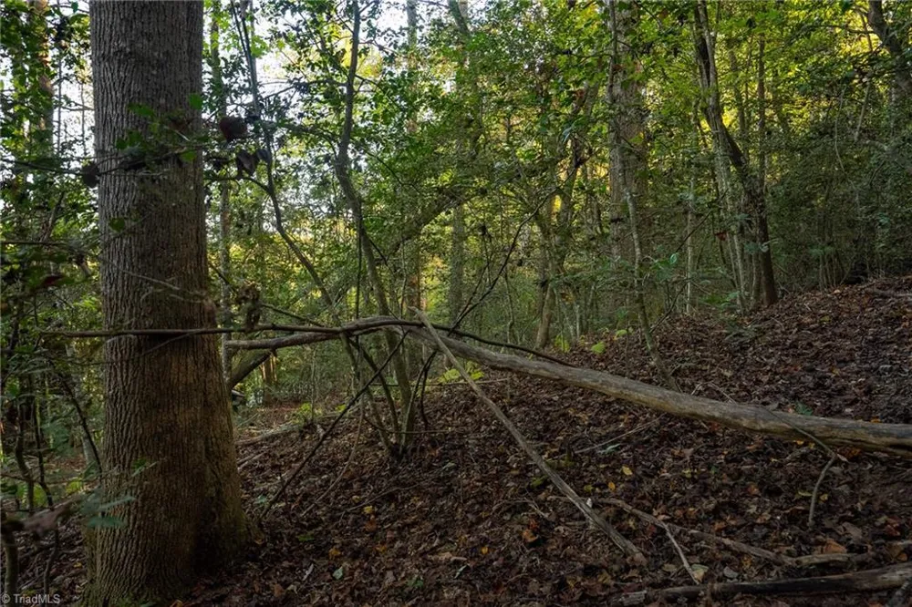 00 Shell Creek Road Ferguson, NC 28624