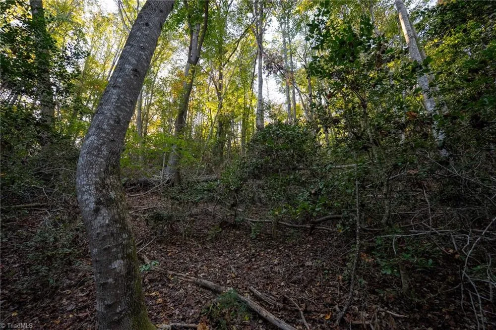 00 Shell Creek Road Ferguson, NC 28624