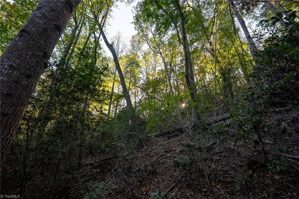 00 Shell Creek Road Ferguson, NC 28624