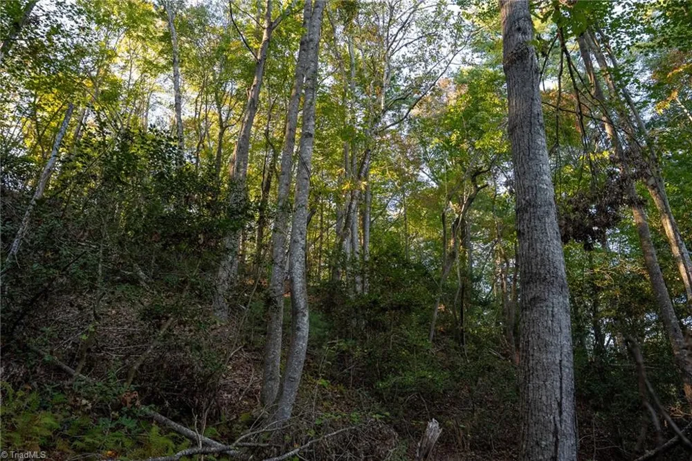 00 Shell Creek Road Ferguson, NC 28624