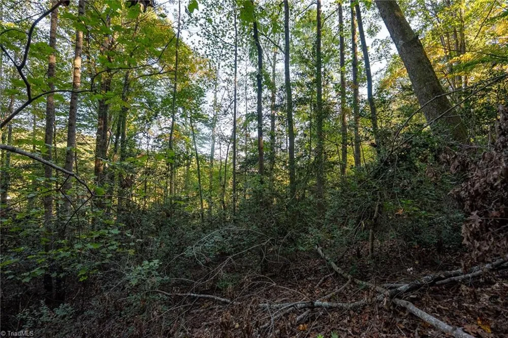 00 Shell Creek Road Ferguson, NC 28624
