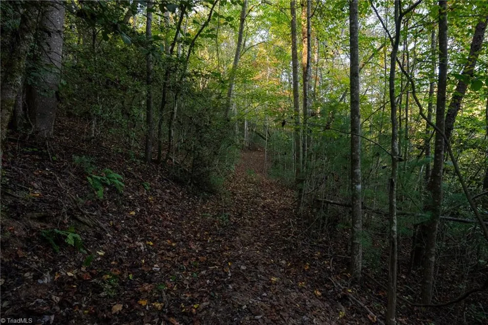 00 Shell Creek Road Ferguson, NC 28624