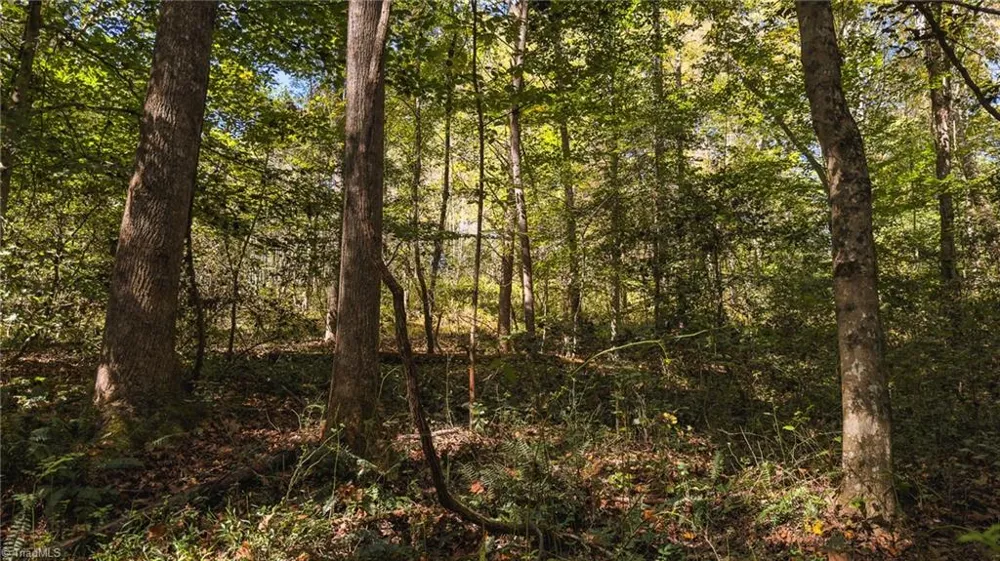00 Shell Creek Road Ferguson, NC 28624