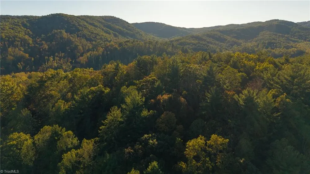 00 Shell Creek Road Ferguson, NC 28624