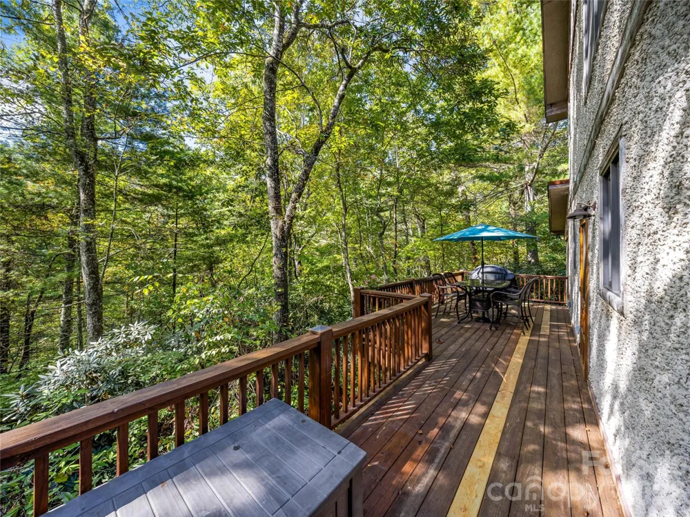 69 Dogwood Branch Lane Zirconia, NC 28790