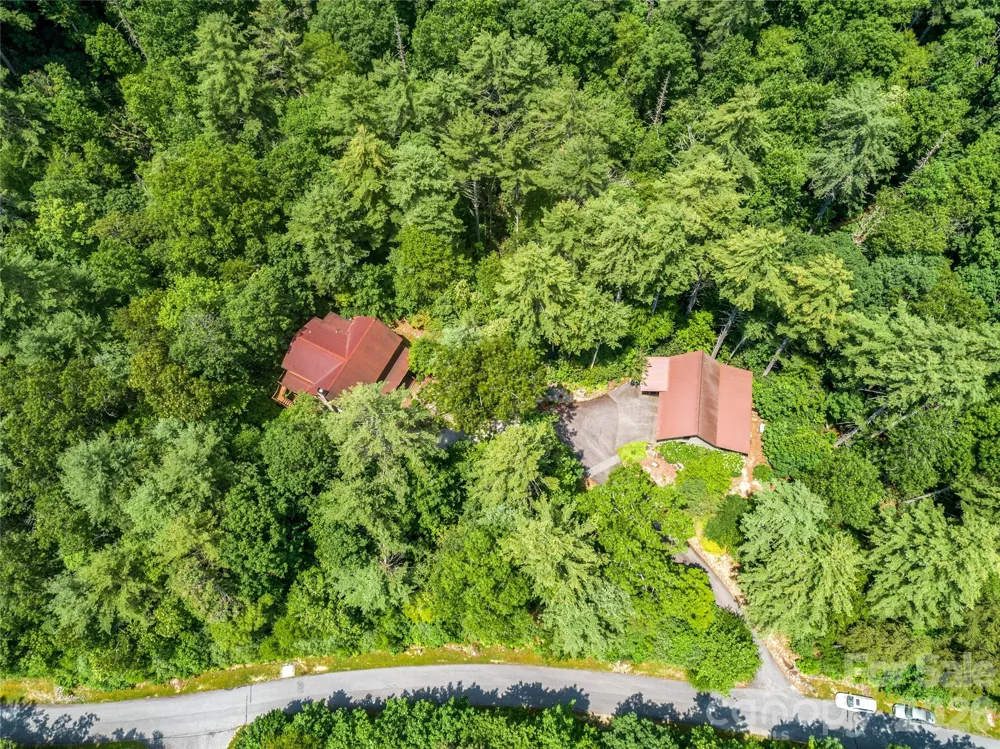 69 Dogwood Branch Lane Zirconia, NC 28790