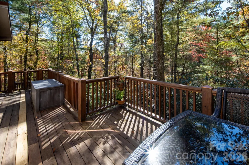 69 Dogwood Branch Lane Zirconia, NC 28790